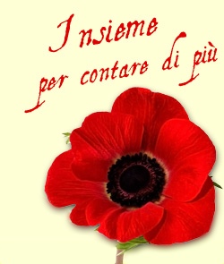 Insieme per contare di più